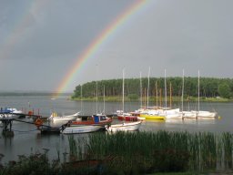 img_004
