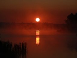 img_025
